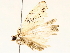  ( - BIOUG73022-H01)  @11 [ ] CreativeCommons - Attribution (2021) CBG Photography Group Centre for Biodiversity Genomics