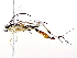  ( - BIOUG73023-B01)  @11 [ ] CreativeCommons - Attribution (2021) CBG Photography Group Centre for Biodiversity Genomics