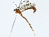  ( - BIOUG85460-B10)  @11 [ ] CreativeCommons - Attribution (2022) CBG Photography Group Centre for Biodiversity Genomics