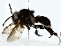  ( - BIOUG85460-E06)  @11 [ ] CreativeCommons - Attribution (2022) CBG Photography Group Centre for Biodiversity Genomics