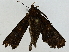  ( - BIOUG85485-B01)  @11 [ ] CreativeCommons - Attribution (2022) CBG Photography Group Centre for Biodiversity Genomics