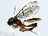  ( - BIOUG85485-E05)  @11 [ ] CreativeCommons - Attribution (2022) CBG Photography Group Centre for Biodiversity Genomics