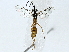  (crypMalaise01 Malaise8665 - BIOUG85485-E09)  @11 [ ] CreativeCommons - Attribution (2022) CBG Photography Group Centre for Biodiversity Genomics