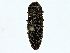  ( - BIOUG89943-B06)  @13 [ ] CreativeCommons - Attribution (2022) CBG Photography Group Centre for Biodiversity Genomics