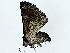  ( - BIOUG89943-B10)  @11 [ ] CreativeCommons - Attribution (2022) CBG Photography Group Centre for Biodiversity Genomics