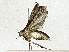  ( - BIOUG89944-H06)  @11 [ ] CreativeCommons - Attribution (2022) CBG Photography Group Centre for Biodiversity Genomics