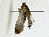  ( - BIOUG89944-H11)  @11 [ ] CreativeCommons - Attribution (2022) CBG Photography Group Centre for Biodiversity Genomics
