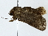  ( - BIOUG89945-B11)  @11 [ ] CreativeCommons - Attribution (2022) CBG Photography Group Centre for Biodiversity Genomics
