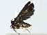  ( - BIOUG89945-E10)  @11 [ ] CreativeCommons - Attribution (2022) CBG Photography Group Centre for Biodiversity Genomics