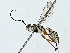  ( - BIOUG89946-A12)  @11 [ ] CreativeCommons - Attribution (2022) CBG Photography Group Centre for Biodiversity Genomics