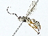  ( - BIOUG89946-A12)  @11 [ ] CreativeCommons - Attribution (2022) CBG Photography Group Centre for Biodiversity Genomics