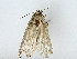  ( - BIOUG89983-G12)  @11 [ ] CreativeCommons - Attribution (2022) CBG Photography Group Centre for Biodiversity Genomics