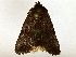  ( - BIOUG89983-H02)  @11 [ ] CreativeCommons - Attribution (2022) CBG Photography Group Centre for Biodiversity Genomics