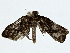  ( - BIOUG91401-F03)  @11 [ ] CreativeCommons - Attribution (2022) CBG Photography Group Centre for Biodiversity Genomics