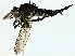 ( - BIOUG91402-A04)  @11 [ ] CreativeCommons - Attribution (2022) CBG Photography Group Centre for Biodiversity Genomics