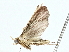  ( - BIOUG91402-B05)  @11 [ ] CreativeCommons - Attribution (2022) CBG Photography Group Centre for Biodiversity Genomics