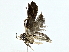  ( - BIOUG91402-B06)  @11 [ ] CreativeCommons - Attribution (2022) CBG Photography Group Centre for Biodiversity Genomics