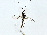  ( - BIOUG91402-C10)  @11 [ ] CreativeCommons - Attribution (2022) CBG Photography Group Centre for Biodiversity Genomics