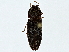  ( - BIOUG91402-D11)  @13 [ ] CreativeCommons - Attribution (2022) CBG Photography Group Centre for Biodiversity Genomics
