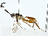  ( - BIOUG91403-C06)  @11 [ ] CreativeCommons - Attribution (2022) CBG Photography Group Centre for Biodiversity Genomics