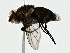  ( - BIOUG91403-D02)  @11 [ ] CreativeCommons - Attribution (2022) CBG Photography Group Centre for Biodiversity Genomics