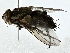  ( - BIOUG91403-D03)  @11 [ ] CreativeCommons - Attribution (2022) CBG Photography Group Centre for Biodiversity Genomics