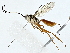  ( - BIOUG91403-E07)  @11 [ ] CreativeCommons - Attribution (2022) CBG Photography Group Centre for Biodiversity Genomics