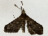  ( - BIOUG91403-H02)  @11 [ ] CreativeCommons - Attribution (2022) CBG Photography Group Centre for Biodiversity Genomics