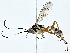  ( - BIOUG91404-C10)  @11 [ ] CreativeCommons - Attribution (2022) CBG Photography Group Centre for Biodiversity Genomics