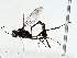  ( - BIOUG91404-D02)  @11 [ ] CreativeCommons - Attribution (2022) CBG Photography Group Centre for Biodiversity Genomics