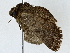  ( - BIOUG91404-D12)  @11 [ ] CreativeCommons - Attribution (2022) CBG Photography Group Centre for Biodiversity Genomics