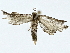  ( - BIOUG91404-E10)  @11 [ ] CreativeCommons - Attribution (2022) CBG Photography Group Centre for Biodiversity Genomics
