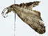  ( - BIOUG91404-E11)  @11 [ ] CreativeCommons - Attribution (2022) CBG Photography Group Centre for Biodiversity Genomics