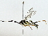  ( - BIOUG91404-G02)  @11 [ ] CreativeCommons - Attribution (2022) CBG Photography Group Centre for Biodiversity Genomics