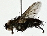  ( - BIOUG91404-H04)  @11 [ ] CreativeCommons - Attribution (2022) CBG Photography Group Centre for Biodiversity Genomics