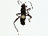  ( - BIOUG99527-D01)  @11 [ ] CreativeCommons - Attribution (2023) CBG Photography Group Centre for Biodiversity Genomics