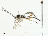 ( - BIOUG99528-B01)  @11 [ ] CreativeCommons - Attribution (2023) CBG Photography Group Centre for Biodiversity Genomics