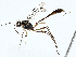  ( - BIOUG99528-B09)  @11 [ ] CreativeCommons - Attribution (2023) CBG Photography Group Centre for Biodiversity Genomics
