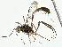  ( - BIOUG99528-C01)  @11 [ ] CreativeCommons - Attribution (2023) CBG Photography Group Centre for Biodiversity Genomics