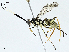  ( - BIOUG99528-F12)  @11 [ ] CreativeCommons - Attribution (2023) CBG Photography Group Centre for Biodiversity Genomics