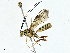  ( - BIOUG99528-H02)  @11 [ ] CreativeCommons - Attribution (2023) CBG Photography Group Centre for Biodiversity Genomics