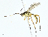  ( - BIOUG99528-H06)  @11 [ ] CreativeCommons - Attribution (2023) CBG Photography Group Centre for Biodiversity Genomics