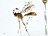  ( - BIOUG99529-H07)  @11 [ ] CreativeCommons - Attribution (2023) CBG Photography Group Centre for Biodiversity Genomics