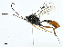  ( - BIOUG99529-H08)  @11 [ ] CreativeCommons - Attribution (2023) CBG Photography Group Centre for Biodiversity Genomics