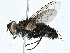  ( - BIOUG99530-E05)  @11 [ ] CreativeCommons - Attribution (2023) CBG Photography Group Centre for Biodiversity Genomics
