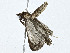  ( - BIOUG99530-F09)  @11 [ ] CreativeCommons - Attribution (2023) CBG Photography Group Centre for Biodiversity Genomics