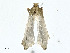  ( - BIOUG99530-H06)  @11 [ ] CreativeCommons - Attribution (2023) CBG Photography Group Centre for Biodiversity Genomics