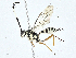  ( - BIOUG99544-G08)  @11 [ ] CreativeCommons - Attribution (2023) CBG Photography Group Centre for Biodiversity Genomics