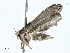  ( - BIOUG99545-C07)  @13 [ ] CreativeCommons - Attribution (2023) CBG Photography Group Centre for Biodiversity Genomics