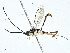 ( - BIOUG99545-E08)  @11 [ ] CreativeCommons - Attribution (2023) CBG Photography Group Centre for Biodiversity Genomics